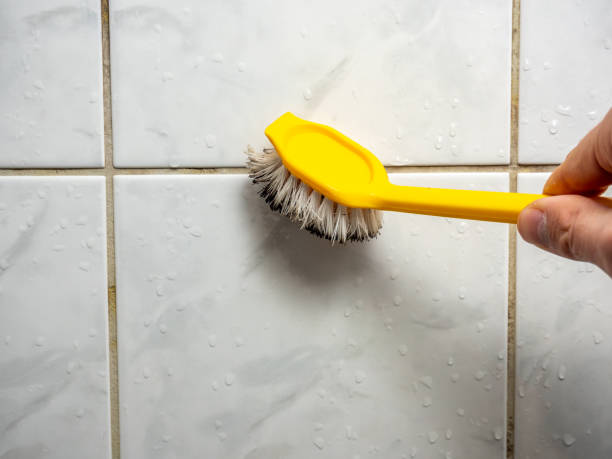 Reliable Ormond By The Sea, FL Mold Removal Solutions